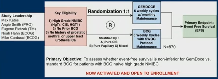 nmibc flow.jpg
