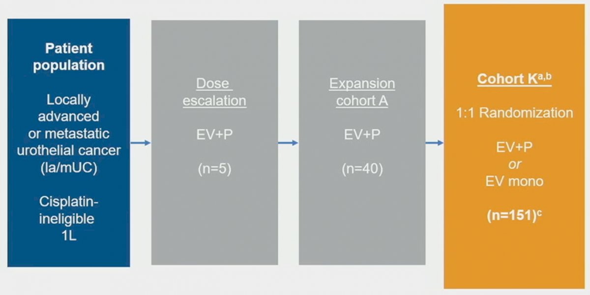 cohort k flow.jpg