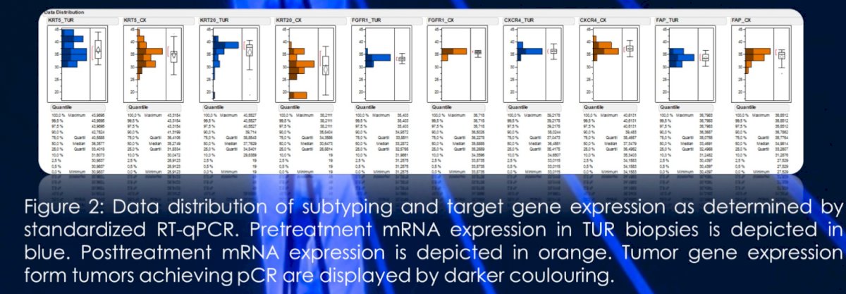 gene expression.jpg