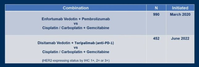 patients in each combination.jpg