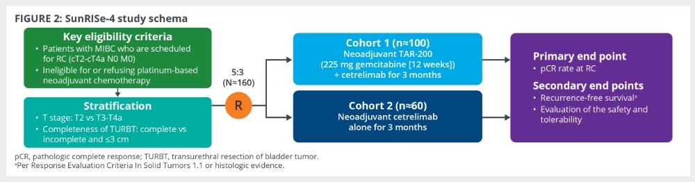 Sunrise trial schema.jpg