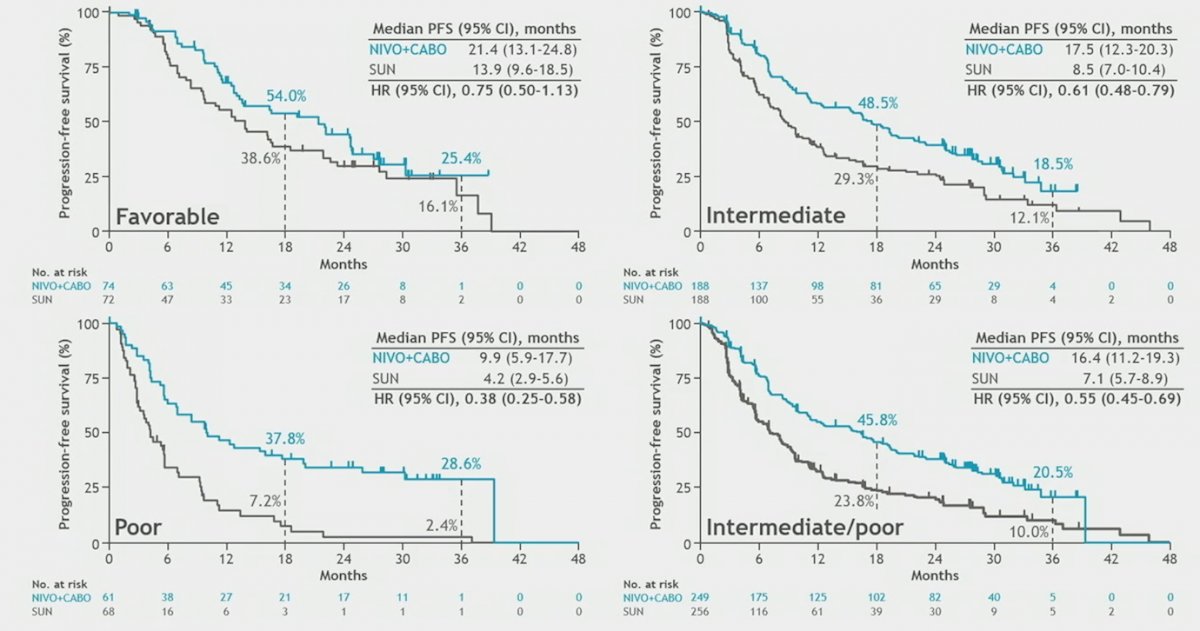 ASCO GU 2023 CheckMate 9ER trial.jpg