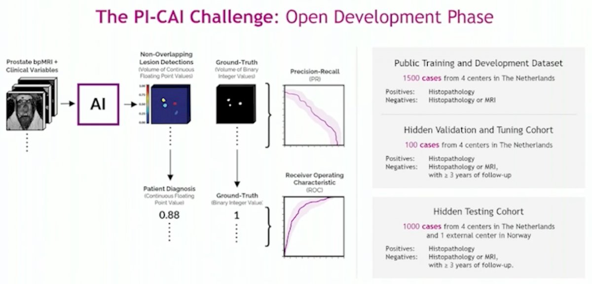 pi cai challenge.jpg