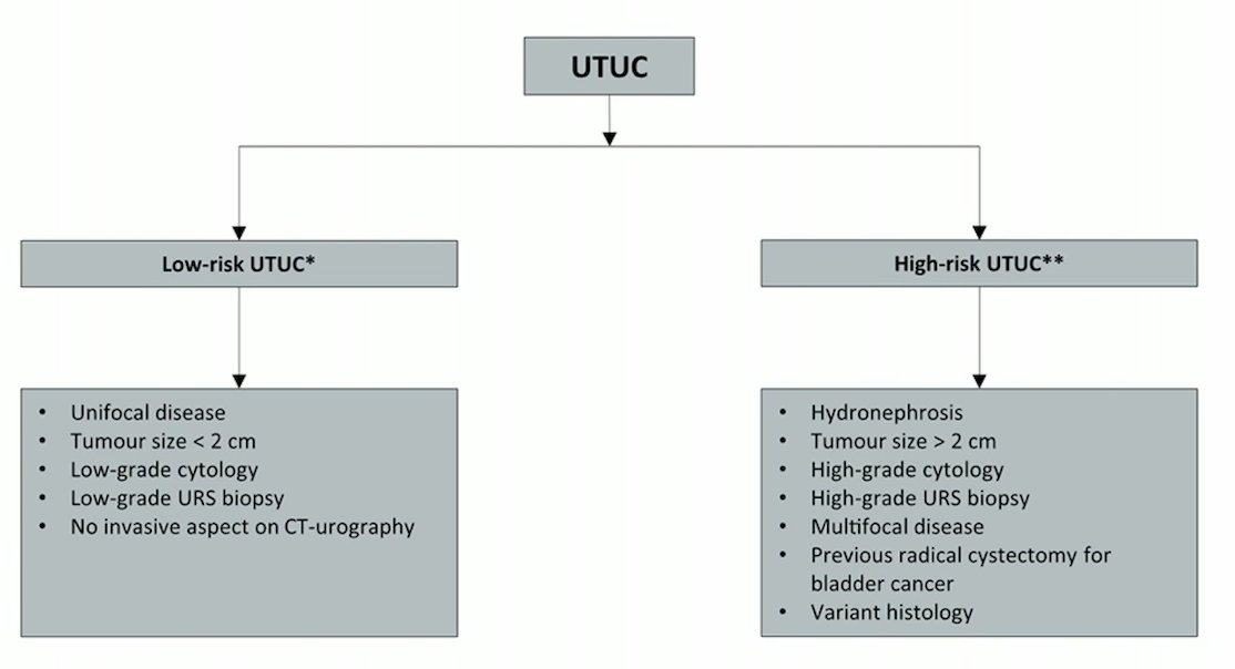 utuc.jpg