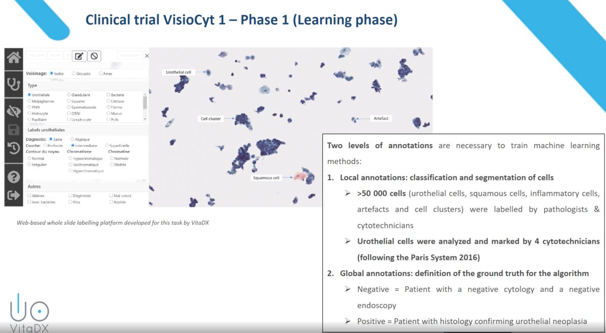image-3.jpg