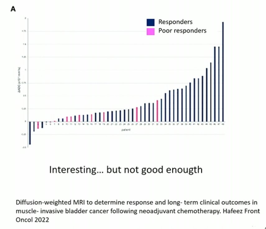 bar graphs.jpg