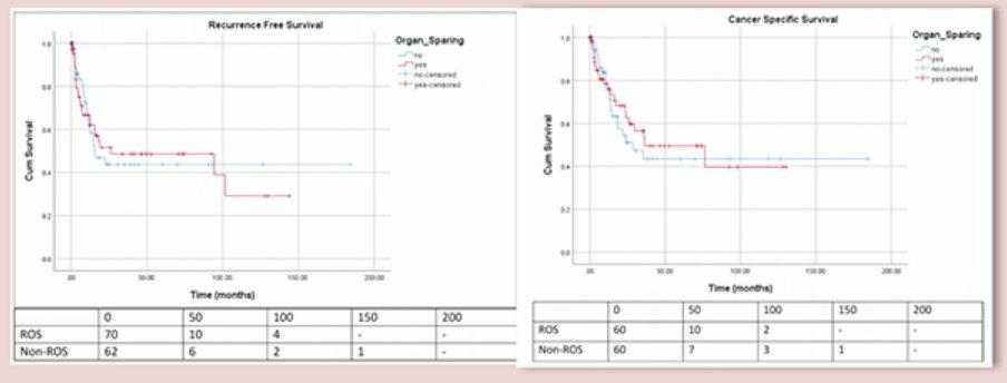 line graphs.jpg