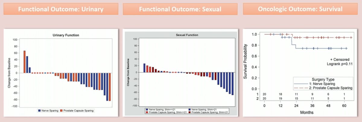 bar graphs.jpg
