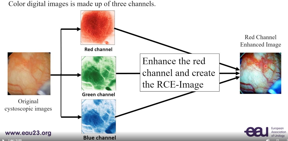 image flow color.jpg