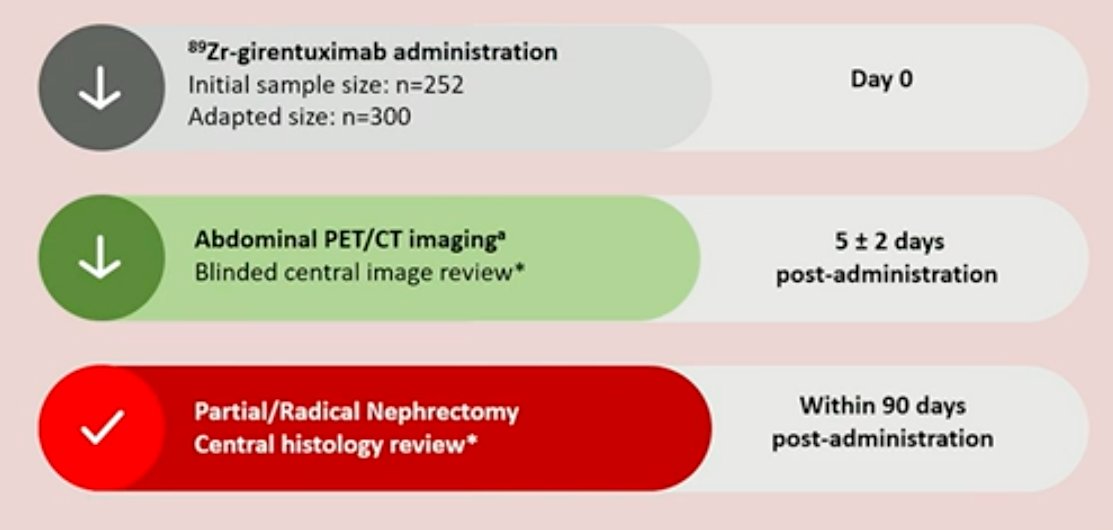 EAU 23 ZIRCON study.jpg