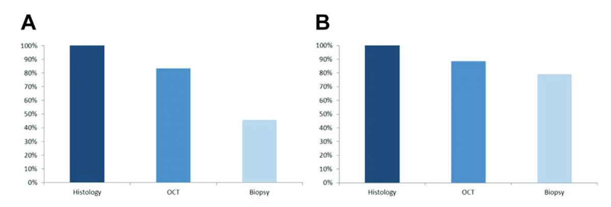 bar graphs.jpg