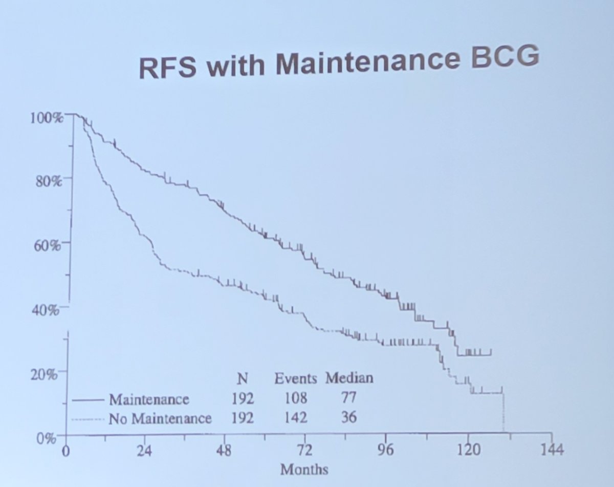 BCG therapy.jpg