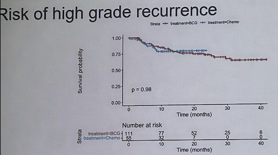 BCG shortage AUA 23.jpg