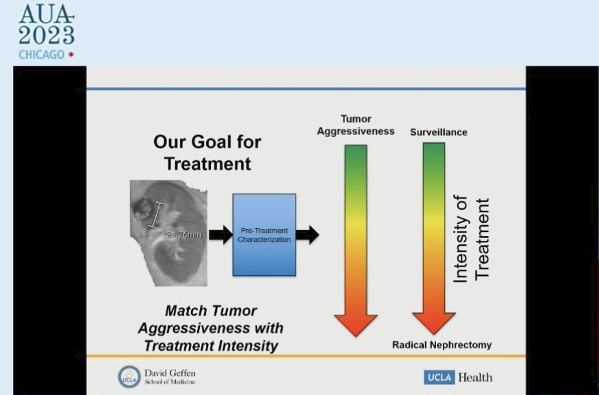 kidney cancer.jpg