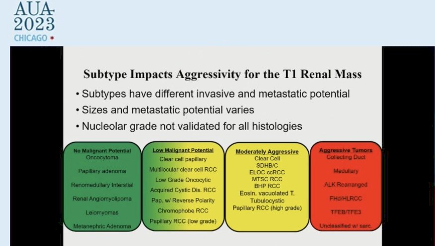 T1 Renal mass.jpg