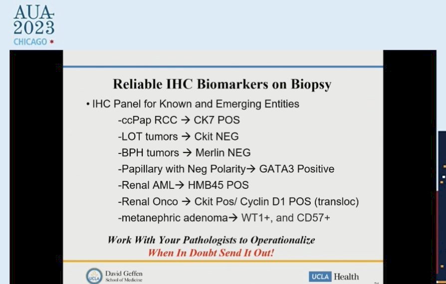 T1 Renal mass AUA.jpg