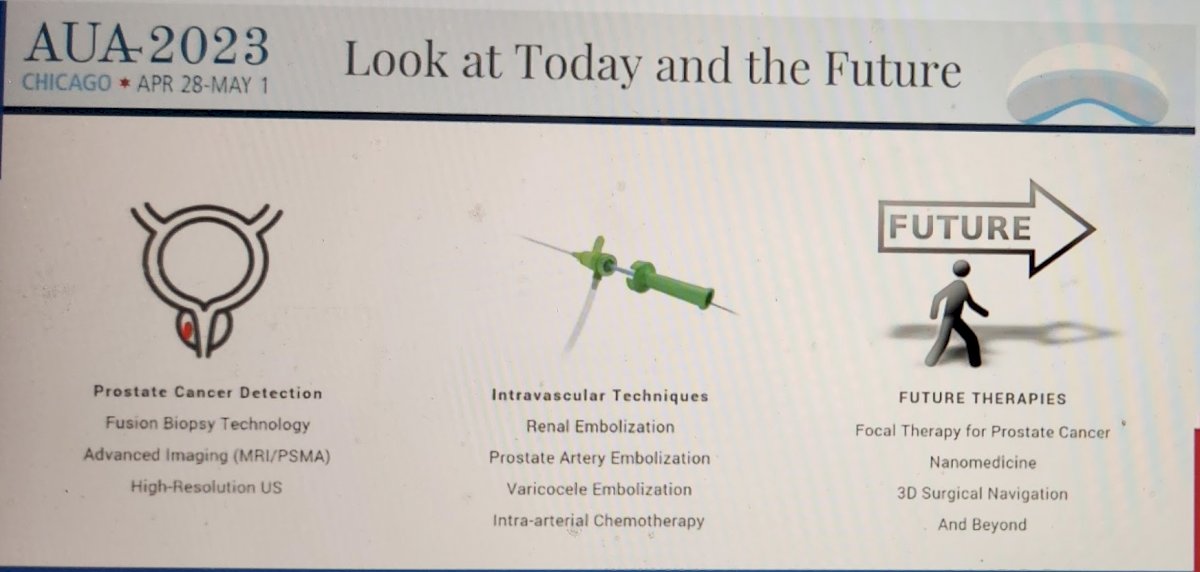 AUA Interventional Urology.jpg