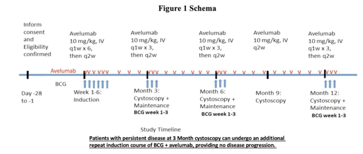 BCG-unresponsive NMIBC-0.jpg
