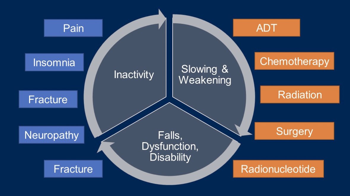 elder symptoms