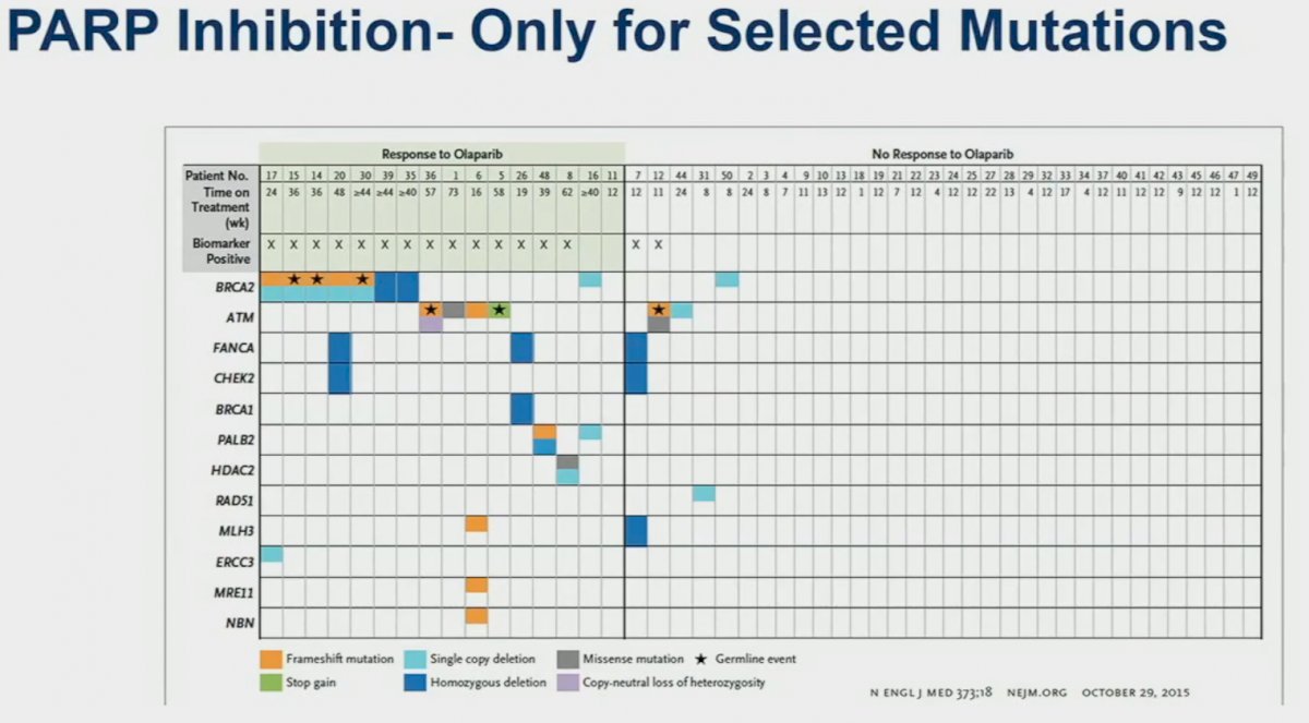 PARP mutations