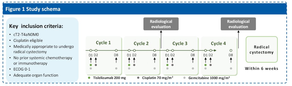 T2-T4aN0M0 schema