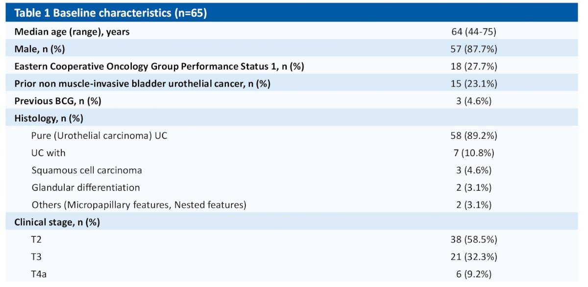 T2-T4aN0M0 characteristics