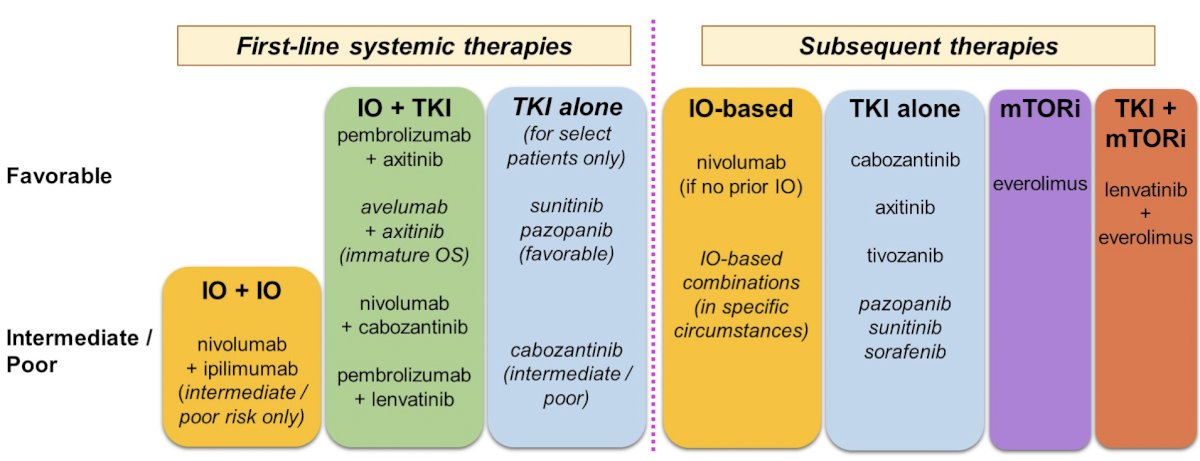 ASCO kidney cancer.jpg