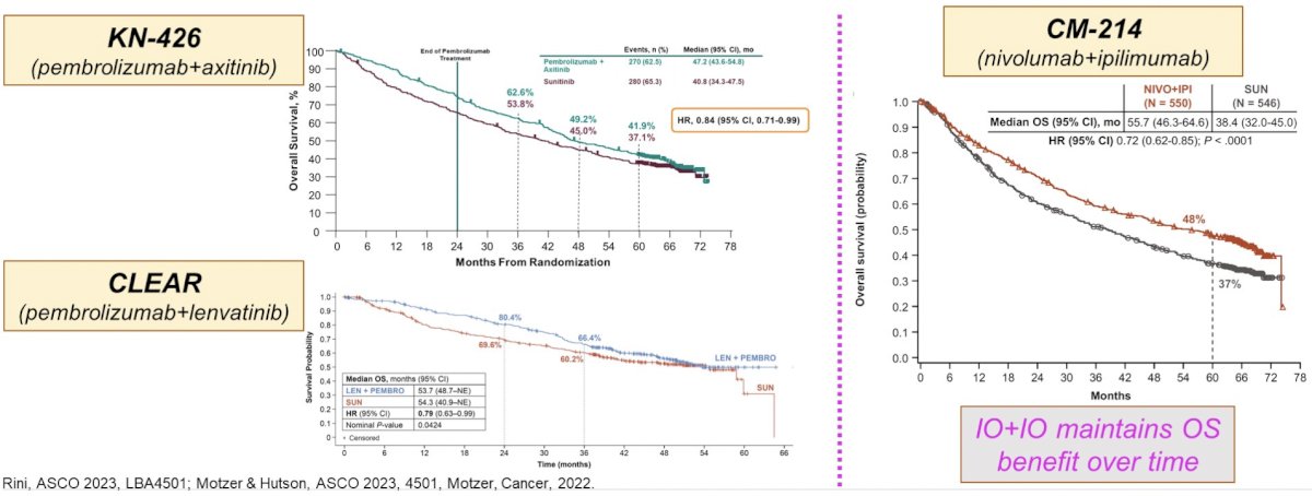 kidney cancer ASCO.jpg