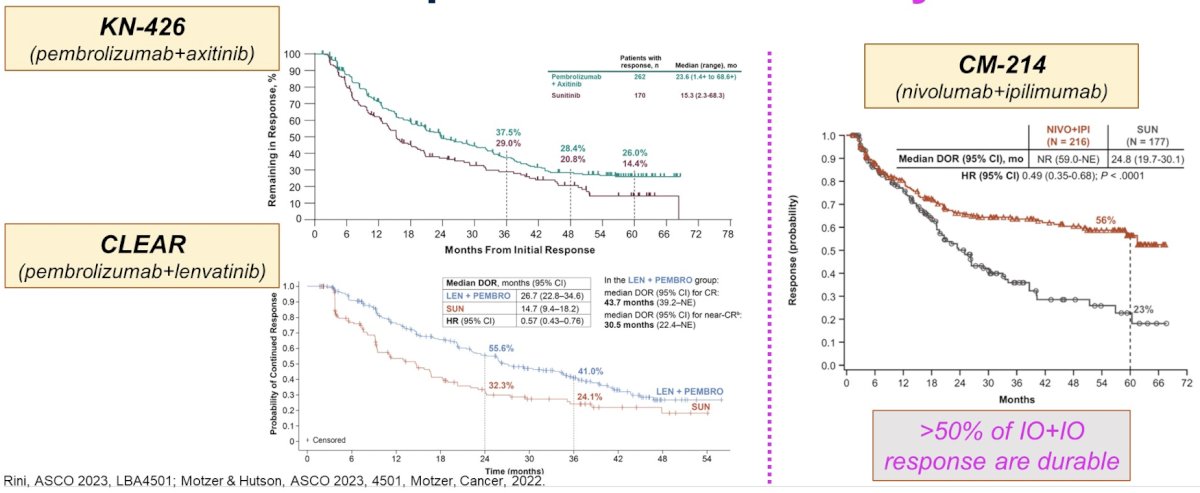 kidney cancer ASCO 23.jpg