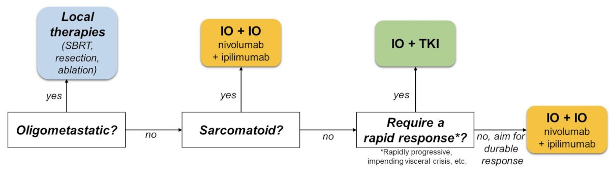 kidney cancer ASCO 23.jpg