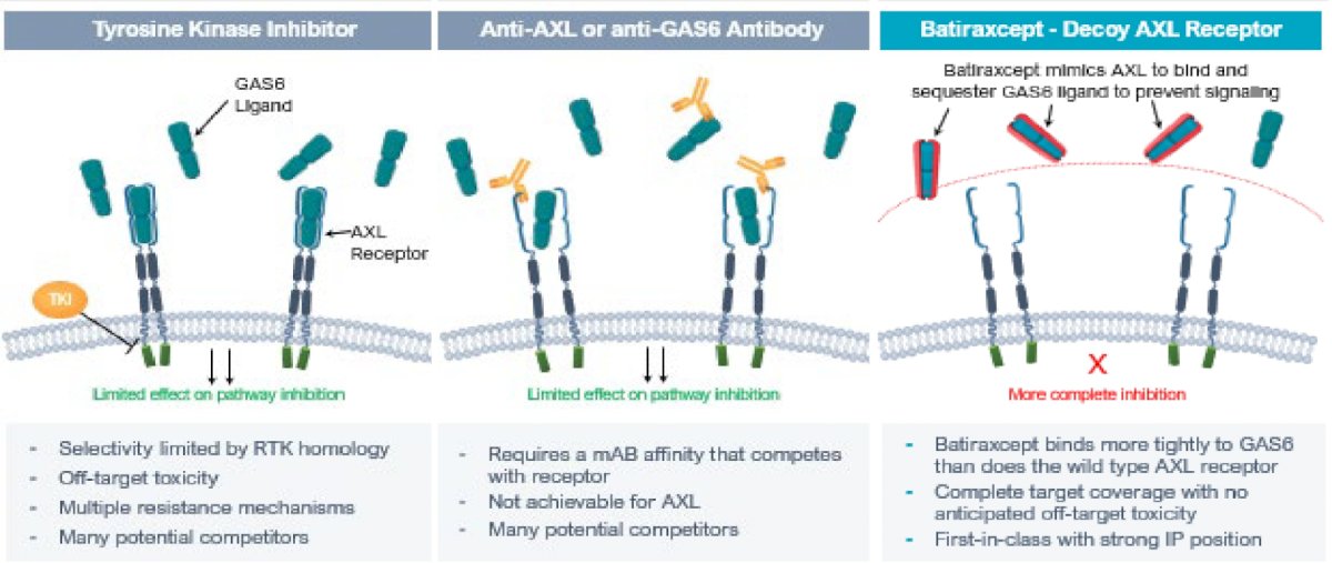 receptor illustrations