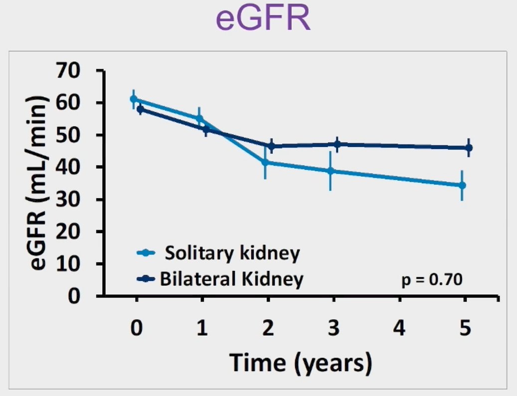 egfr
