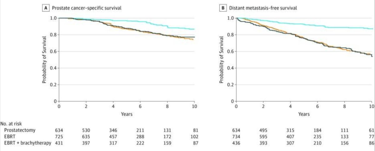 ebrt survival