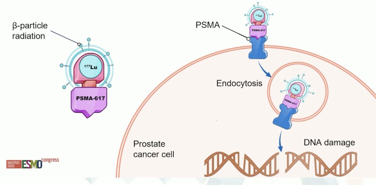 psma illustration