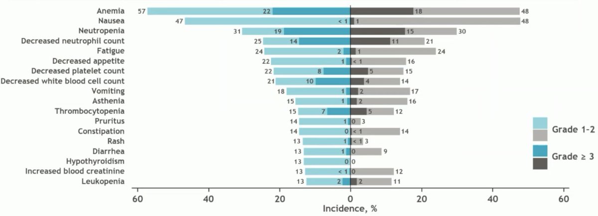 CheckMate 901 adverse events