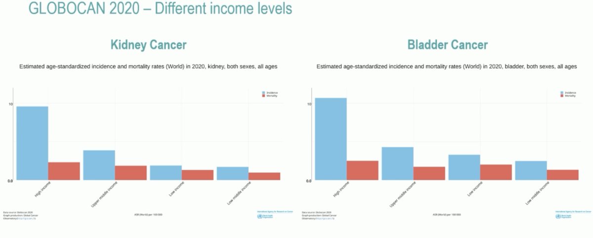 GLOBOCAN incomes
