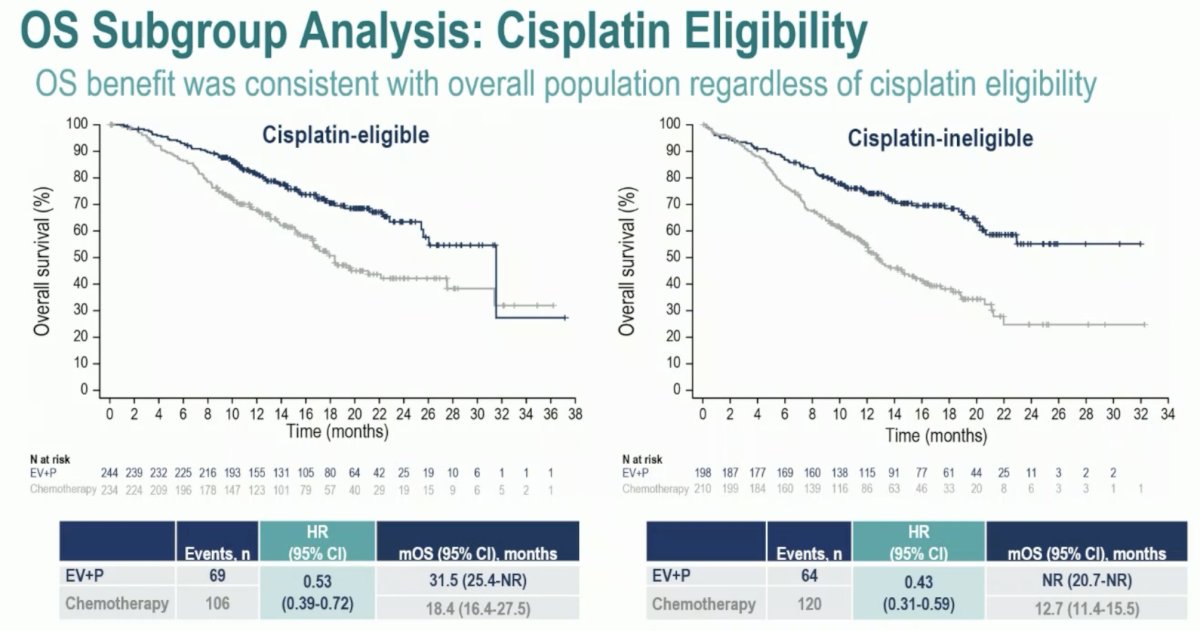EV-302/KEYNOTE-A39 cisplatin eligibility