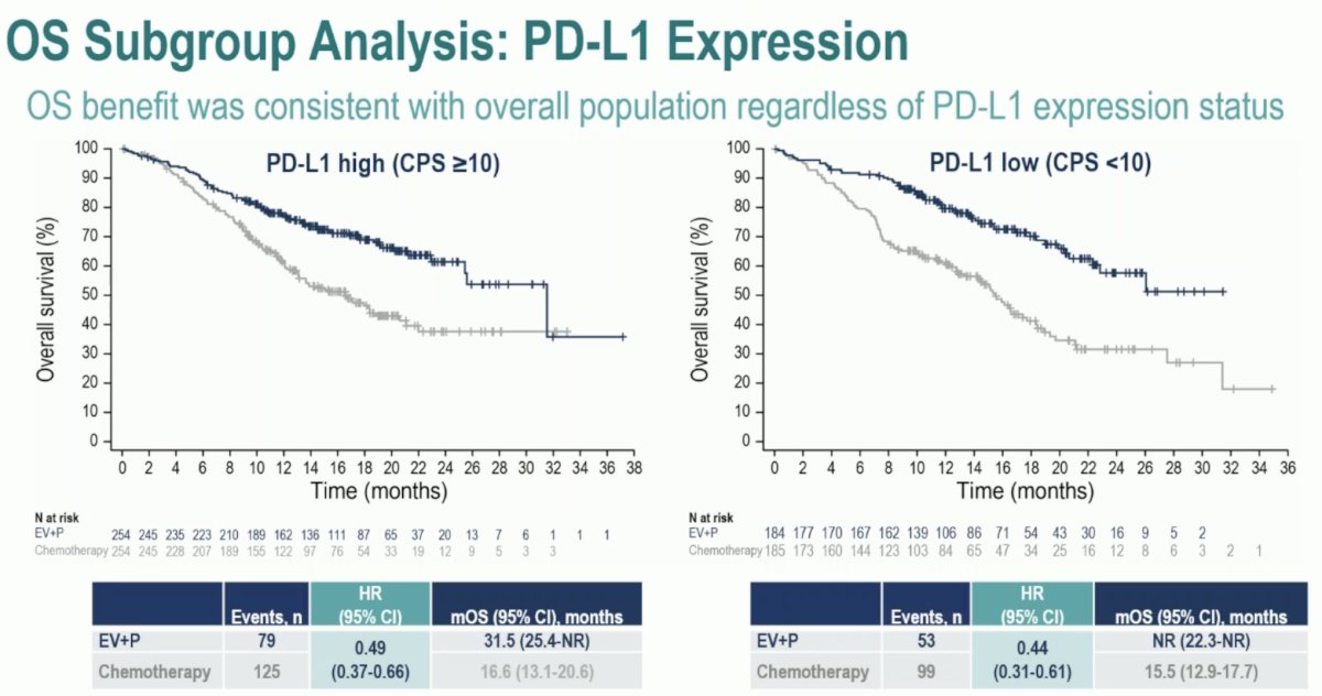PDL1 Expression