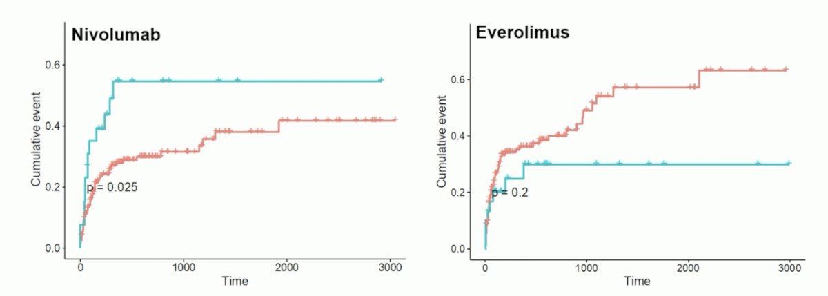 nivolumab everolimus
