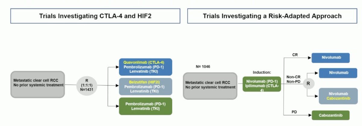ctla4 hif2 trials