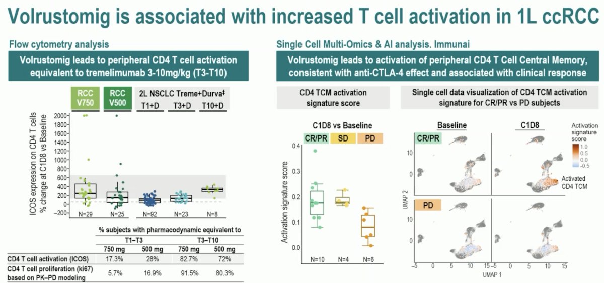 volrustomig t cell 