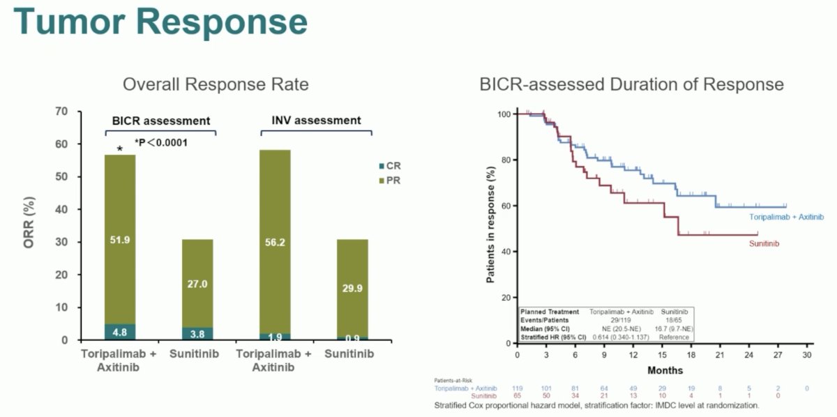 renotorch tumor response