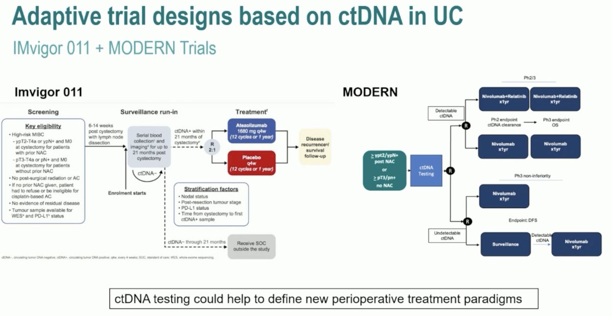 IMvigor011 and MODERN trials