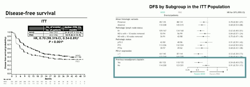 disease free survival