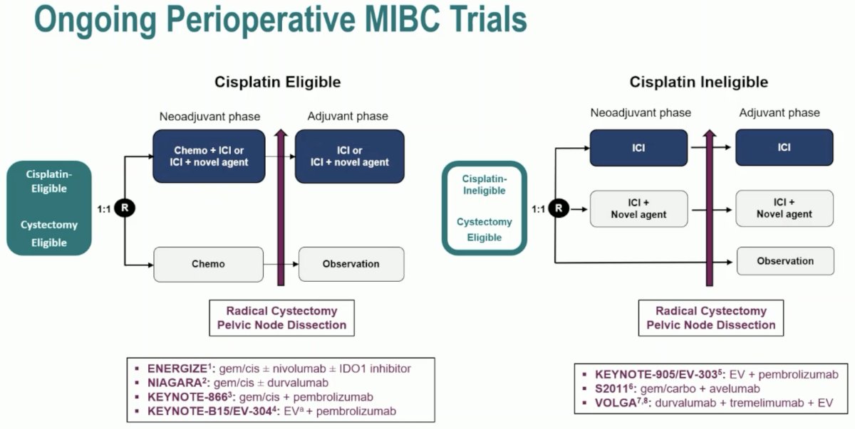 MIBC trials
