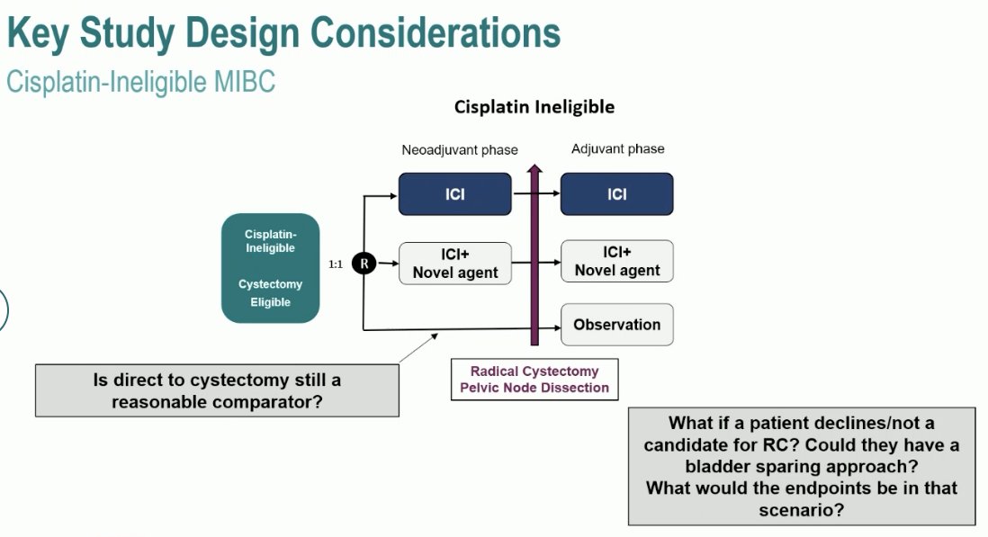 cisplatin ineligible mibc
