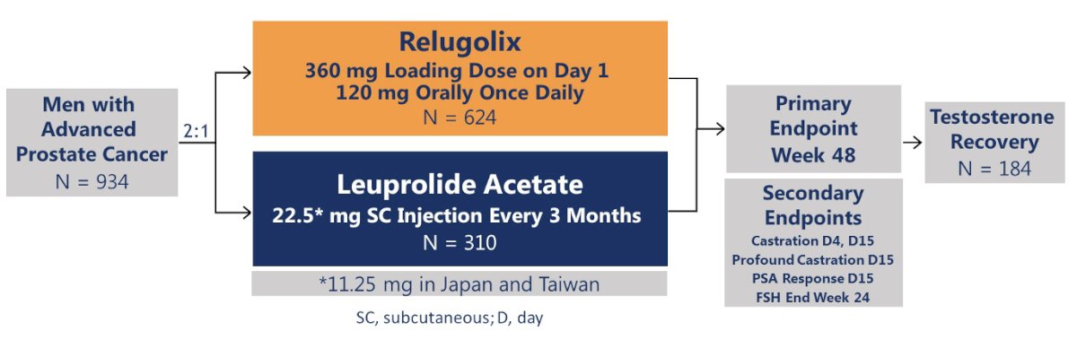 Relugolix flow chart