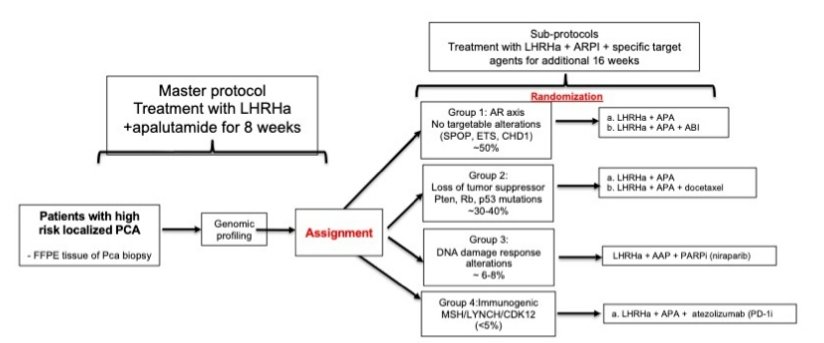 GUNS trial flow