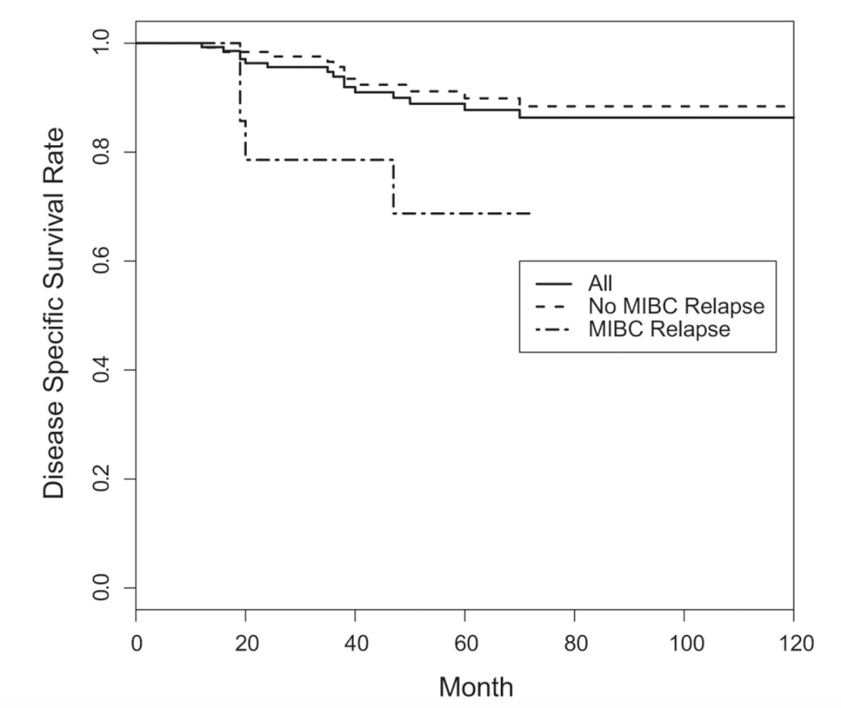 platinum based chemotherapy and elected active surveillance disease specifc survival rate