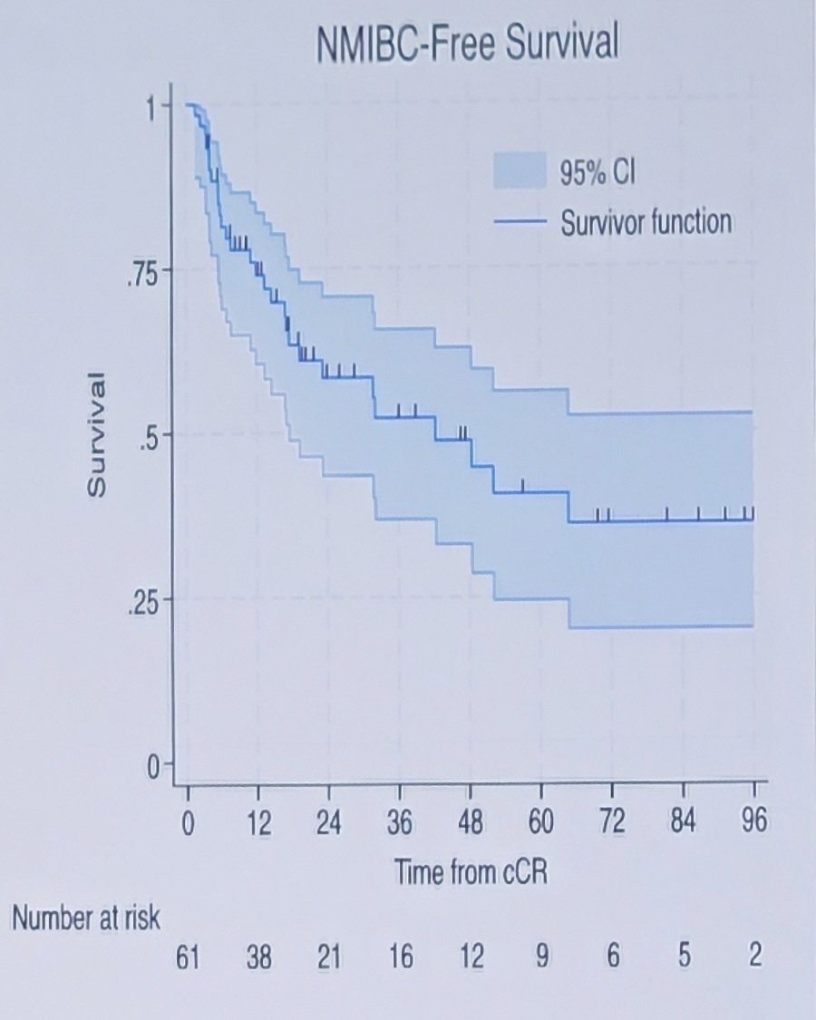 nmibc survival